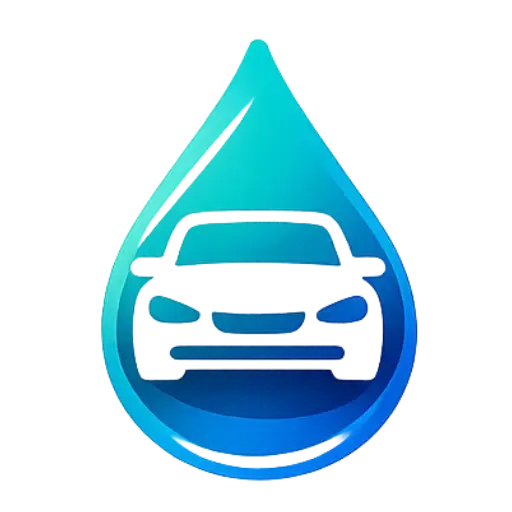 Lavage auto à domicile Vieillespesse